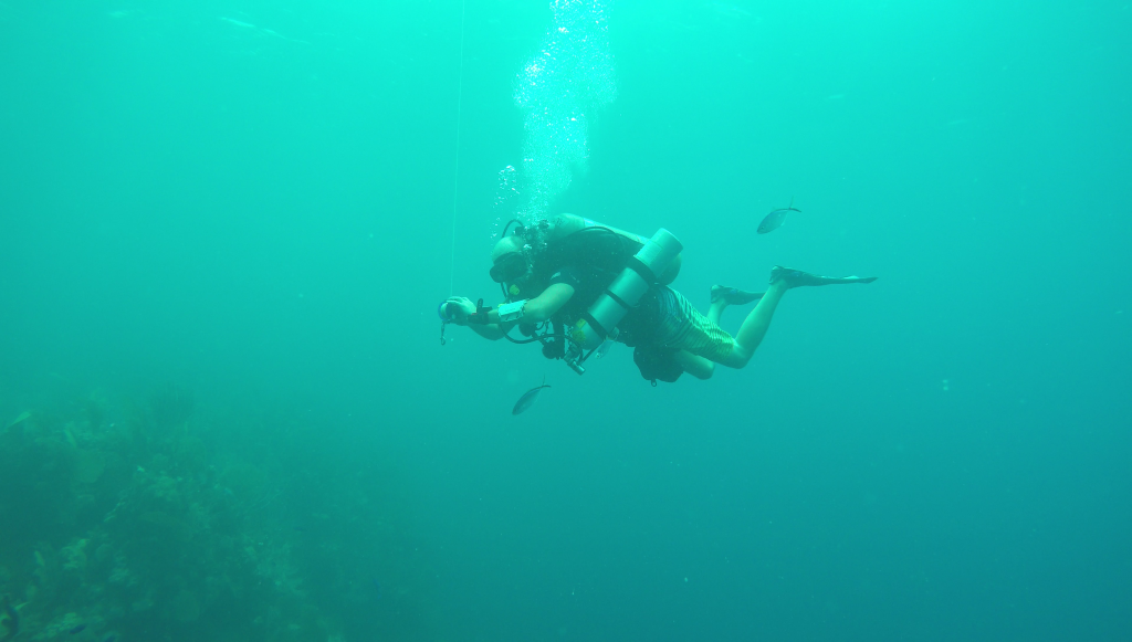 On a training dive