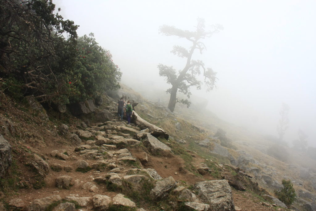 Trek vers Triund, McLeod Ganj, Himachal Pradesh, Inde