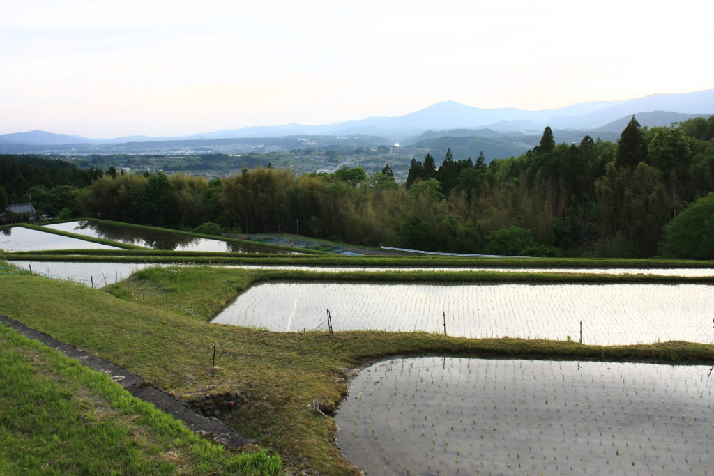 Rizières à Magome-juku, Japon