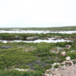 Décor sur la côte du Labrador
