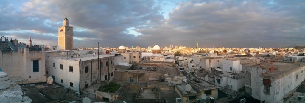Panorama de Tunis