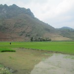 Rice paddies in Ha Giang province