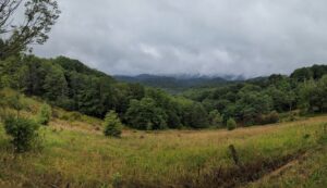 Les collines de la Virgine de l’Ouest