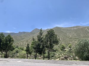 IMG_4934
