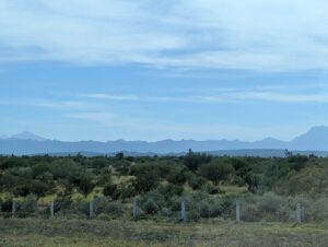 PXL_20250730_221419560.ACTION_PAN-02.ORIGINAL