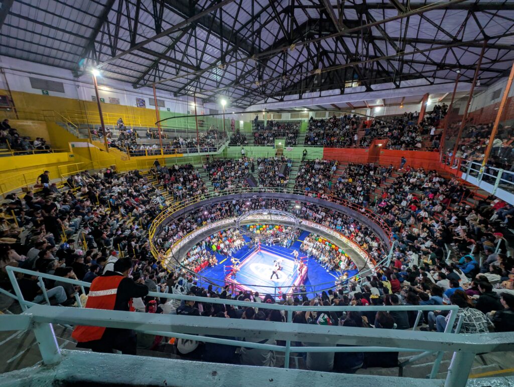 Lucha libre