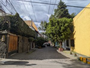 PXL_20250804_221555859