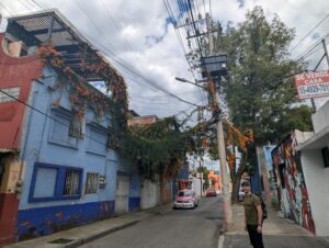 PXL_20250804_221820278