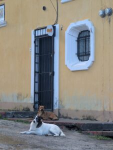 PXL_20250814_230333464