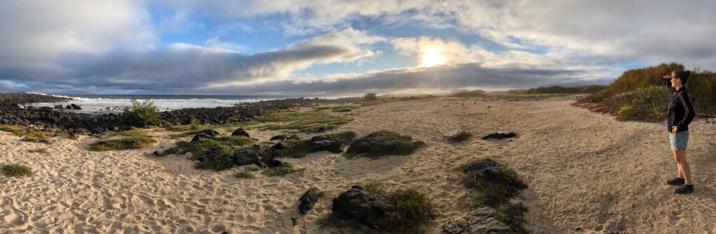 PXL_20250926_231234894.PANO