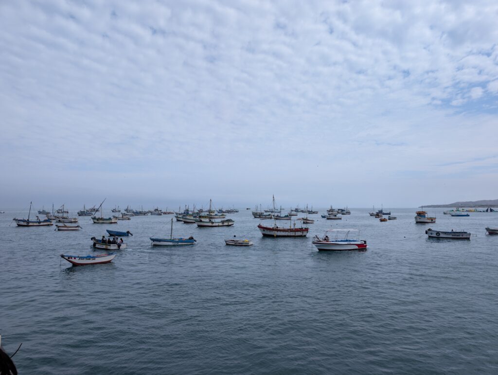 PXL_20251012_143128254