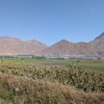 PXL_20251014_194419055