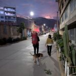 PXL_20251015_232840456