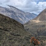 PXL_20251018_180804662.PORTRAIT.ORIGINAL