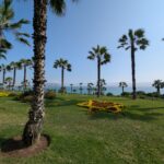 PXL_20251022_202920657