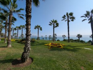 PXL_20251022_202920657