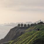 PXL_20251023_222819706