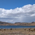 PXL_20251028_185040531