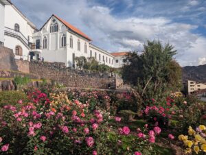 PXL_20251031_214003848