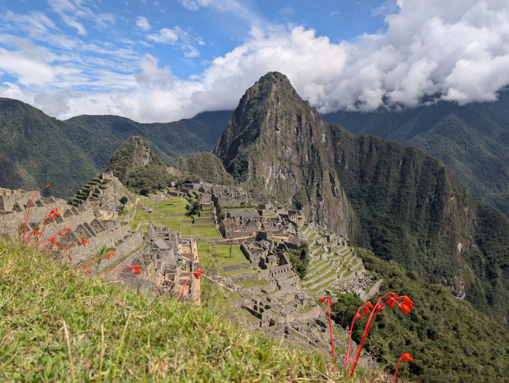 PXL_20251102_142650442