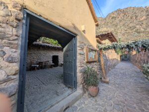 PXL_20251102_214743244