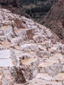 PXL_20251103_163953131