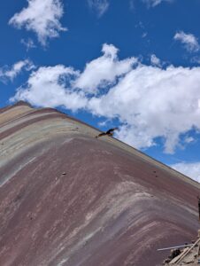 PXL_20251105_152836166