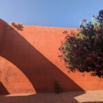 PXL_20251107_205534279