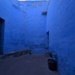 PXL_20251107_211421566