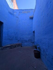 PXL_20251107_211421566