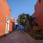 PXL_20251107_213120172