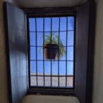 PXL_20251107_214800793