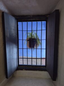 PXL_20251107_214800793