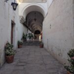 PXL_20251107_215152294