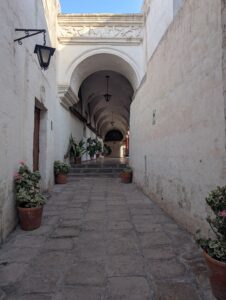 PXL_20251107_215152294