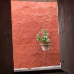 PXL_20251107_215357886