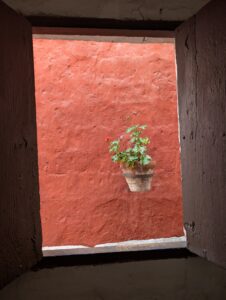 PXL_20251107_215357886