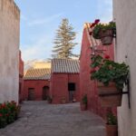 PXL_20251107_215734595