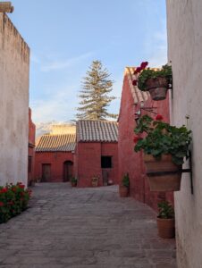 PXL_20251107_215734595