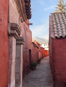 PXL_20251107_220329328