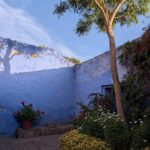 PXL_20251107_221229601