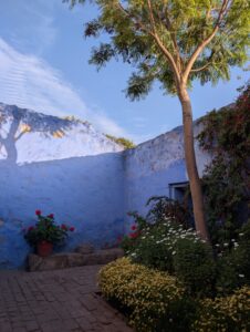 PXL_20251107_221229601