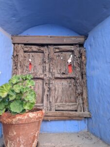 PXL_20251107_221259799