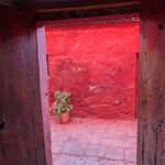 PXL_20251107_222143071