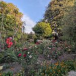 PXL_20251107_222637776