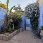 PXL_20251107_222841927