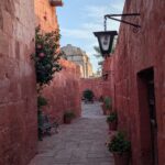 PXL_20251107_222933281