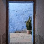 PXL_20251107_223305095