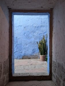 PXL_20251107_223305095