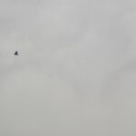 PXL_20251109_215509055